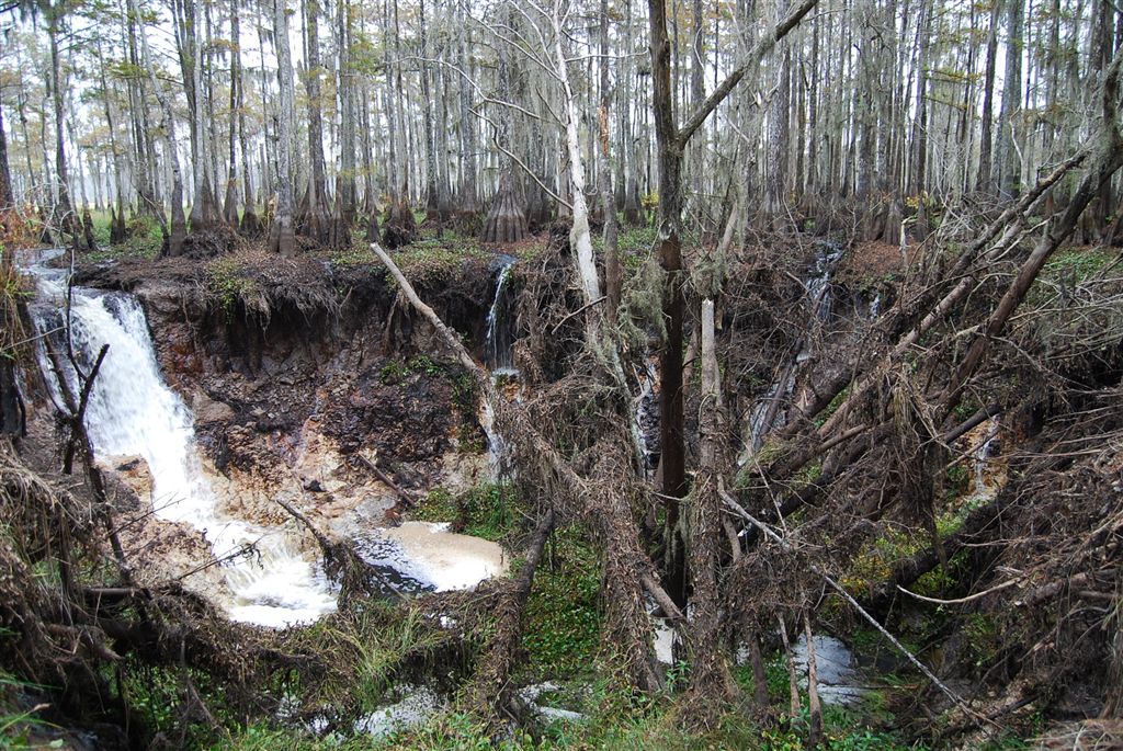 Sinkhole main inflow east view