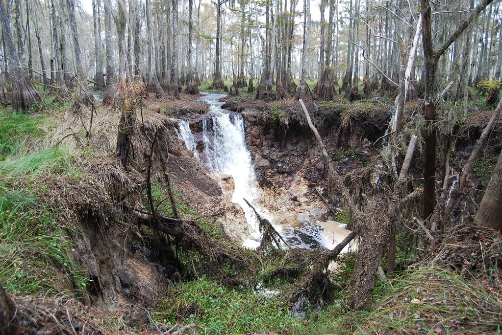 Sinkhole main inflow east view