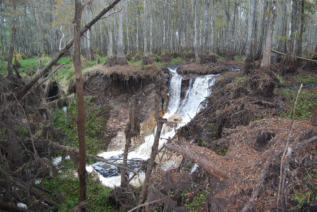 Sinkhole north view
