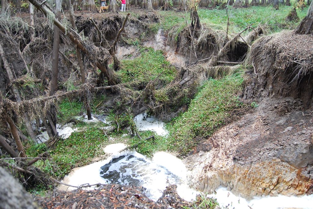Sinkhole west view